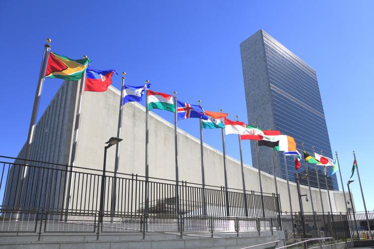 Read more about the article IFFAMPAC President Addresses United Nations Working Group on Persons Who are Unaccounted for in Connection with Events in Kosovo 