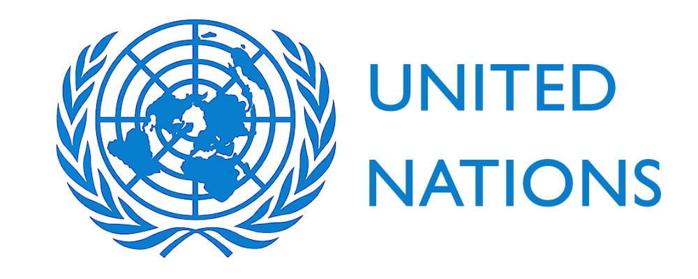 Report of the UN Secretary General